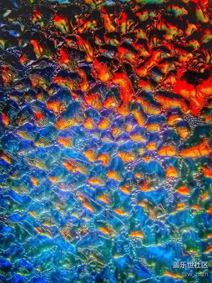 另類(lèi)的美?。ó?dāng)然，我是這樣認(rèn)為的????）