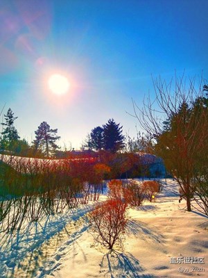 紅妝素裹北國情。