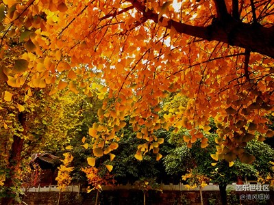 看看有沒(méi)有exif