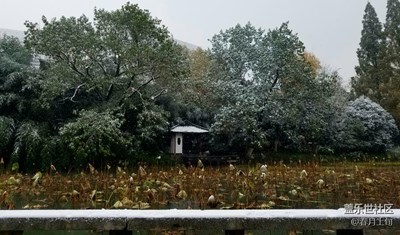 第一場雪的隨拍