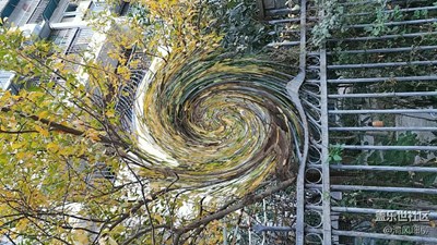 在手機(jī)上發(fā)原圖