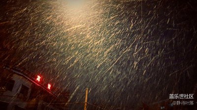 雪花飛舞
