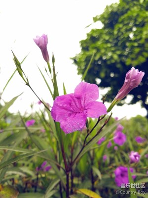 不會(huì)拍，希望大神進(jìn)來(lái)指導(dǎo)下