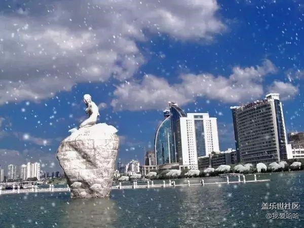 來(lái)看看下雪后的廈門(mén)
