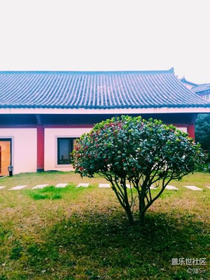 【霜葉紅于二月花】+普陀山+凈土火棘