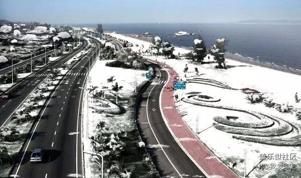 來(lái)看看下雪后的廈門(mén)