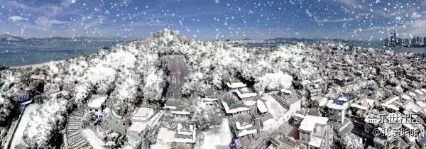 來(lái)看看下雪后的廈門(mén)