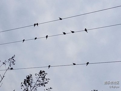 音符、雪花、涌泉