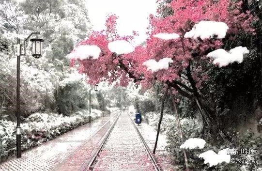 來(lái)看看下雪后的廈門(mén)