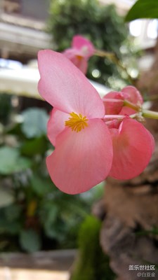 鮮艷的紅紅的嘴唇么么噠