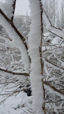 驚天秘密：白娘子今天下凡啦！