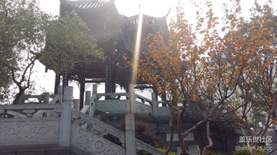 【熊貓寶寶看紅花】+四川+熊貓寶寶頑皮登場(chǎng)