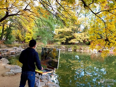 【霜葉紅于二月花】+北京+秋色滿園入畫來