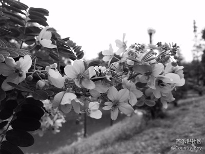 歡迎點(diǎn)評(píng)