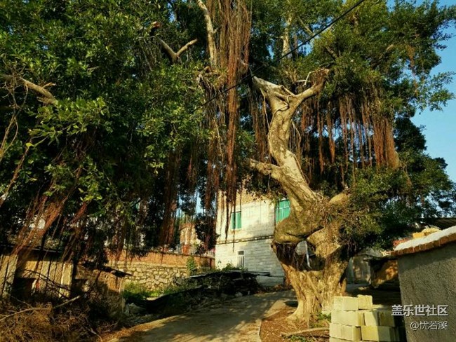 產(chǎn)品認(rèn)證的時(shí)候是用蓋樂(lè)世社區(qū)賬號(hào)認(rèn)證的！