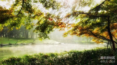 秋色黃，情醉太子灣