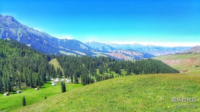 給我的冬天加點(diǎn)綠色