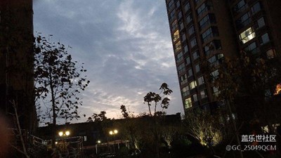 隨手拍拍，獻丑獻丑