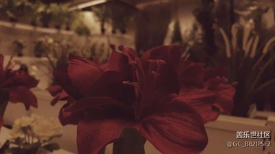 小照片