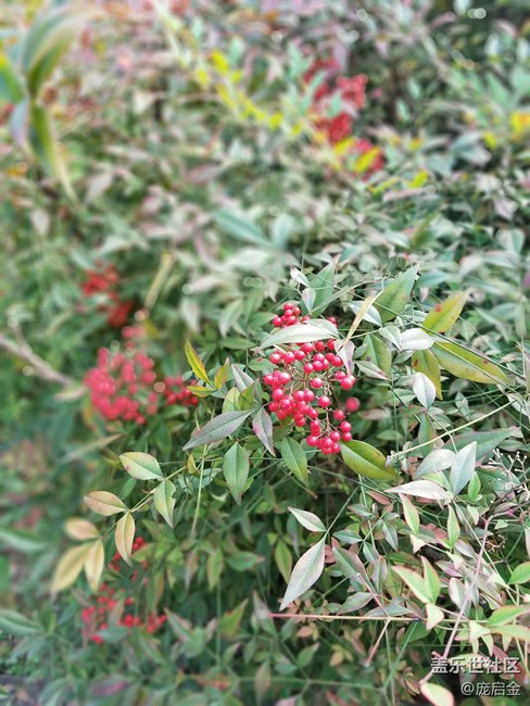 三星note永遠(yuǎn)的經(jīng)典，作為一個(gè)三星粉，請(qǐng)讓我任性一次