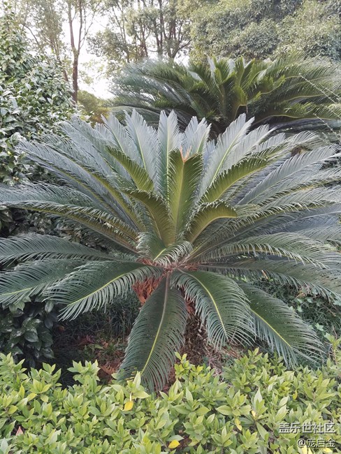 三星note永遠(yuǎn)的經(jīng)典，作為一個(gè)三星粉，請(qǐng)讓我任性一次