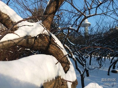 美景就在我身邊