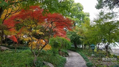 隨拍