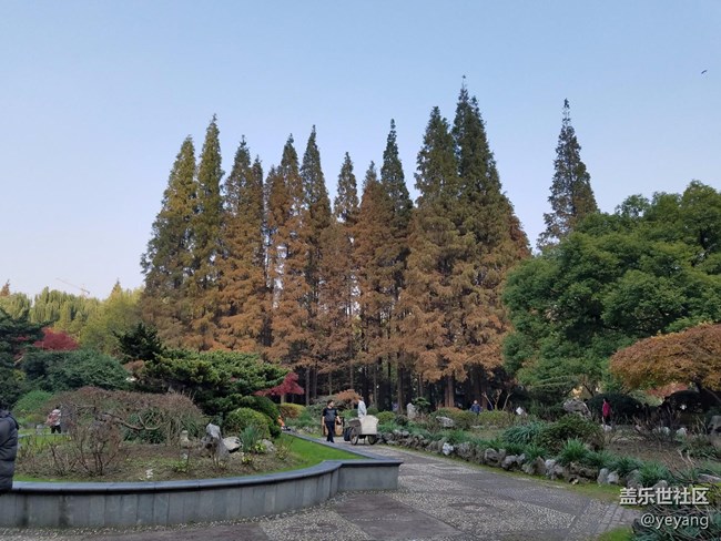 今天在中山公園拍一些照片，還想看看7.0對相機優(yōu)化