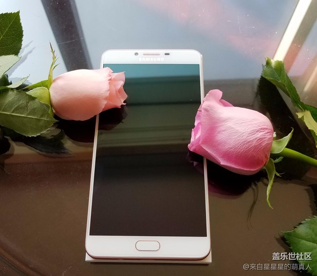 薔薇粉 C9 Pro---紅粉賜瓔珞，落花亦有情