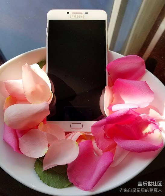 薔薇粉 C9 Pro---紅粉賜瓔珞，落花亦有情