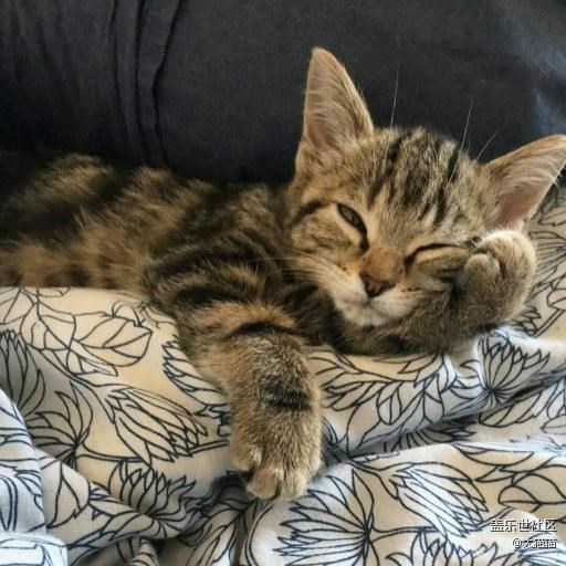 發(fā)現開“強制gpu渲染”可以省電