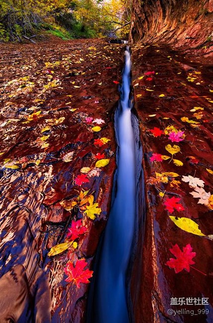 【簽到】2016年12月7日簽到貼