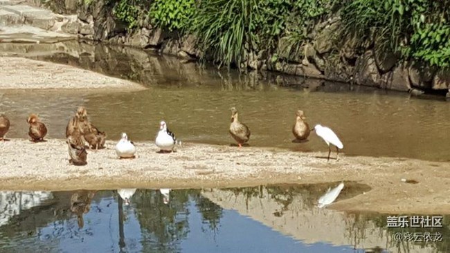 不是本群的，都裝看不見！