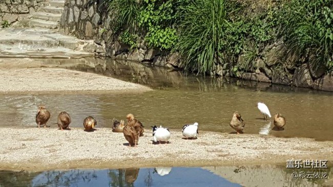 不是本群的，都裝看不見！