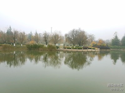 晨霧中的水景公園