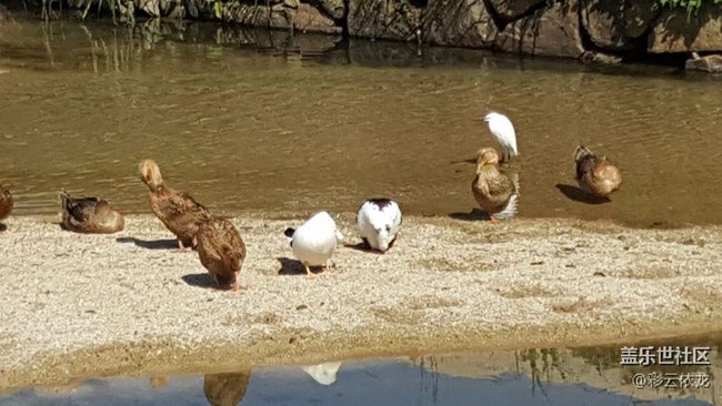 不是本群的，都裝看不見！