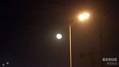 城里的月光城里的月光自動(dòng)