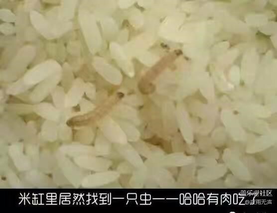 有肉吃了