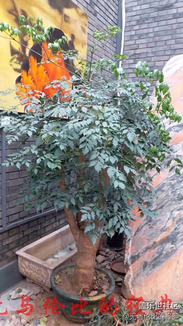 【享樂體驗團(tuán)】旗艦品質(zhì)標(biāo)準(zhǔn)價，C9 Pro 我選擇