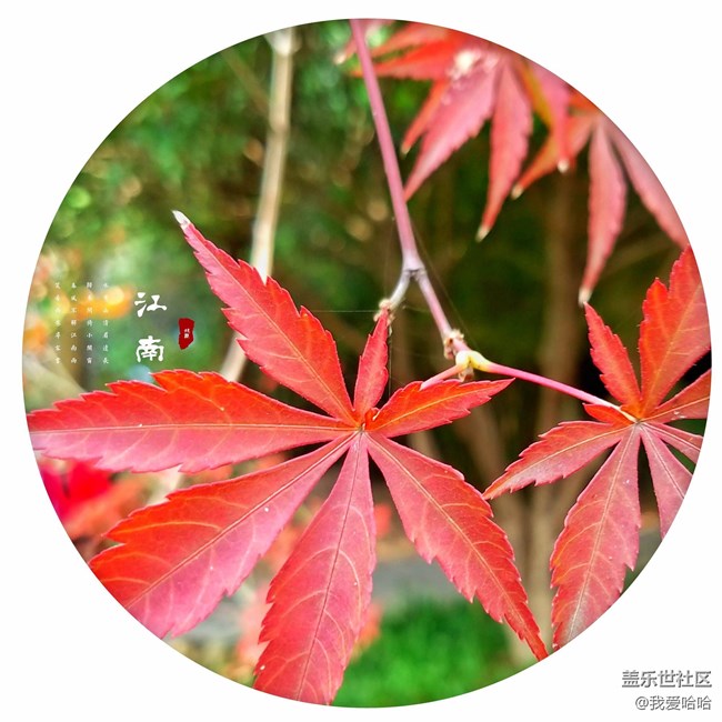 三星s7下的憶江南