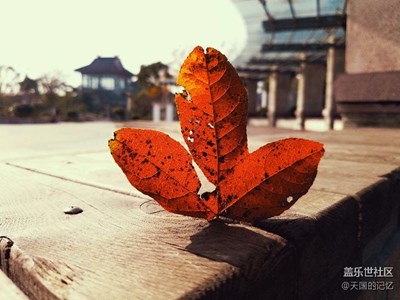 南方的艷陽天，s7edge隨拍