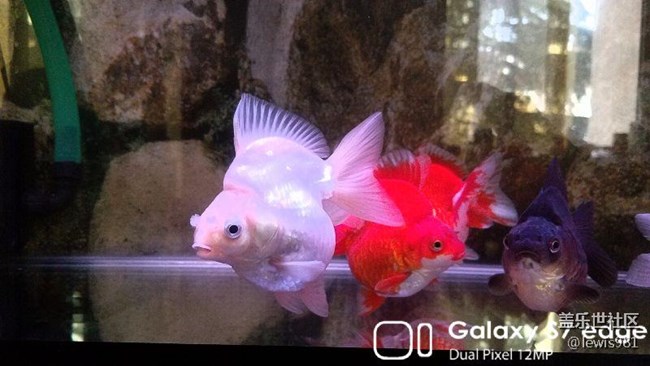 沒事拍拍自己的魚。。Y(＾_＾)Y