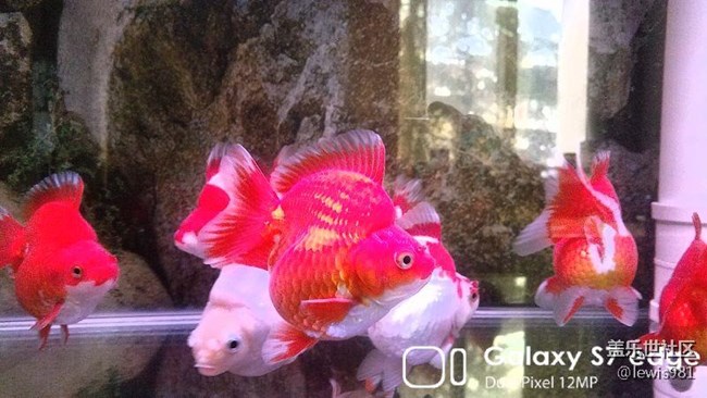 沒事拍拍自己的魚。。Y(＾_＾)Y