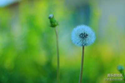 鄉(xiāng)下的風(fēng)光