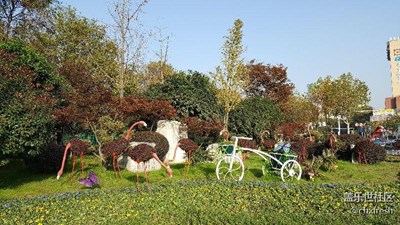 冬天和春天交相輝映