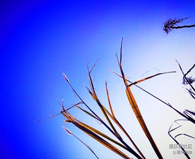 艷陽(yáng)一天的收獲——發(fā)現(xiàn)S7e新拍法