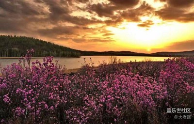 留戀的河畔花園