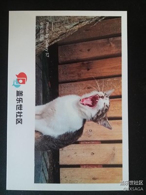 謝謝社區(qū)的元旦禮物