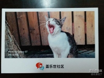 新年快樂(lè)!ii