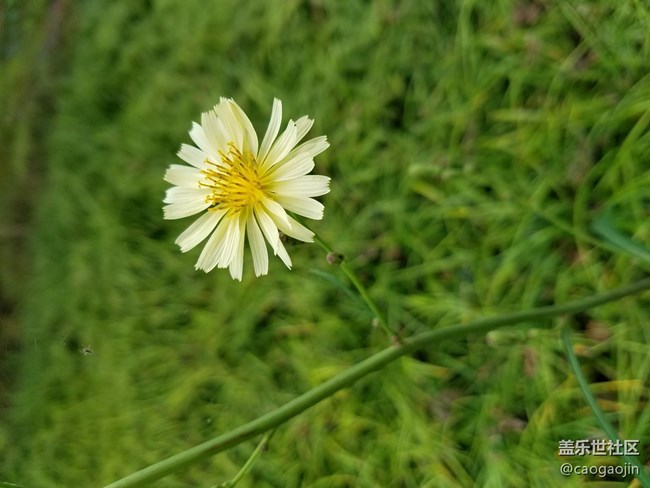 三星S7 EDGE  你也可以拍出這么美的照片!